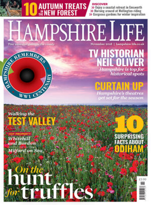 Hampshire Life