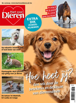 Hart Voor Dieren